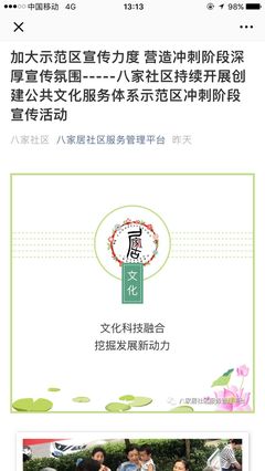 魅力社区丨党员先锋引领，多渠道加大示范区宣传力度——八家社区持续开展创建公共文化服务体系示范区冲刺阶段宣传活动